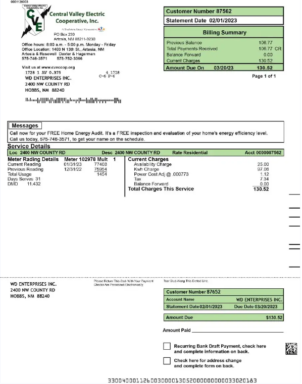 USA CENTRAL VALLEY ELECTRIC utility bill Word and PDF template